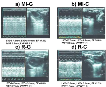 Fig. 2 shows examples of echocardiography find- find-ings for the MI-G (panel a), MI-C (panel b), R-G (panel c), and R-C (panel d) groups