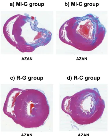 Fig. 3 Comparison of Azan-stained ventricular cross sections among the MI-G (panel a), MI-C (panel b), R-G (panel c), and R-C (panel d) groups.