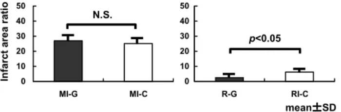 Fig. 5 shows the infarct area ratio (%). The infarct area ratio (%) was high in the MI-G (26.9 ± 6.1%) and MI-C (25.2 ± 6.3%) groups, showing no  signifi-cant difference between the groups