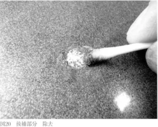 図 1 9 後補