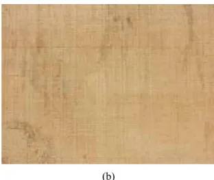 Fig. 1.10   䠅   (a)      (b) 
