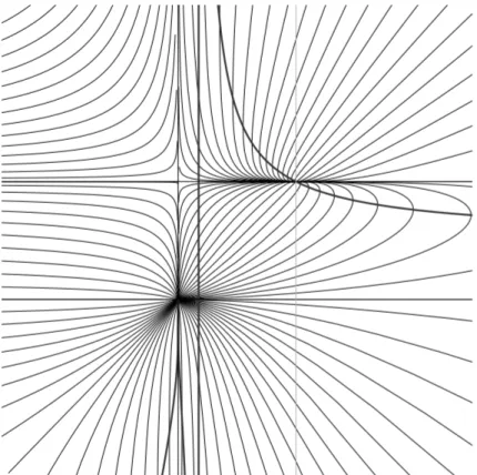 図 3: 同変ガウス曲率一定曲面のモデュライ空間（(p, q) 座標で表示している）。 位相的に円柱面である曲面を実線であらわしており、それらはモデュライ空 間を稠密に埋め尽くしている。 (p, q) 平面は直線 p = ±1 と q = ±1 によって 9 つの領域に分割されている。中心の右の領域 (p, q) ∈ [1, ∞) × [−1, 1] は同変 ガウス曲率正一定曲面をあらわし、左上の領域 (p, q) ∈ (−∞, 1] × [1, ∞) は同 変ガウス曲率負一定曲面をあらわしている。濃い実線
