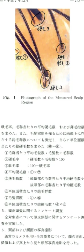 Fig.  1  Photograph  of  the  Measured  Scalp Region 軟 毛 率,毛 群 当 た りの 平 均 硬 毛数,お よ び 薄 毛 指 数 を 求 め た 。 ま た,毛 髪 密 度 を 知 るた め に画 像 上 に 存 在 す る総 毛 群 数 に つ い て も測 定 し,さ ら に 単 位 面 積 当 た りの 総 硬 毛 数 を 求 め た((6)∼(8))。 (1) 毛群 当 た り平 均 毛髪 数:毛 髪 数 ÷ 毛群 数 (2)硬 毛率:硬毛 数