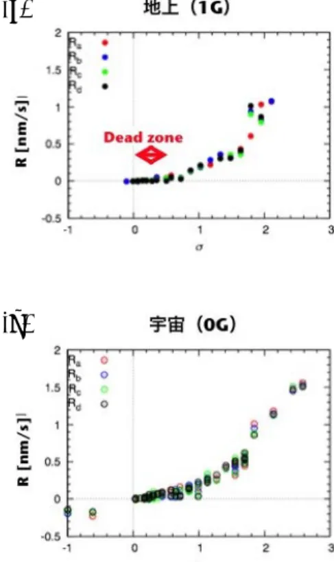 Fig.  4  Birth  and  spread  model  as  an  example of 2D nucleation growth. 