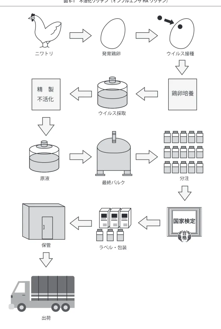 図 6 製造工程の例    図 6-1 不活化ワクチン（インフルエンザ HA ワクチン） ニワトリ 発育鶏卵 ウイルス接種 ウイルス採取 原液 最終バルク 国家検定 合格精 製 鶏卵培養不活化分注 ラベル・包装保管 出荷
