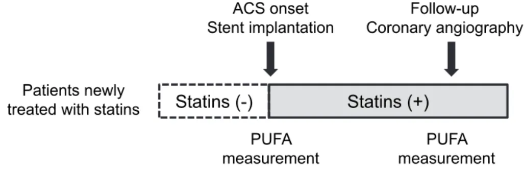 Fig. 1. Flowchart of the study