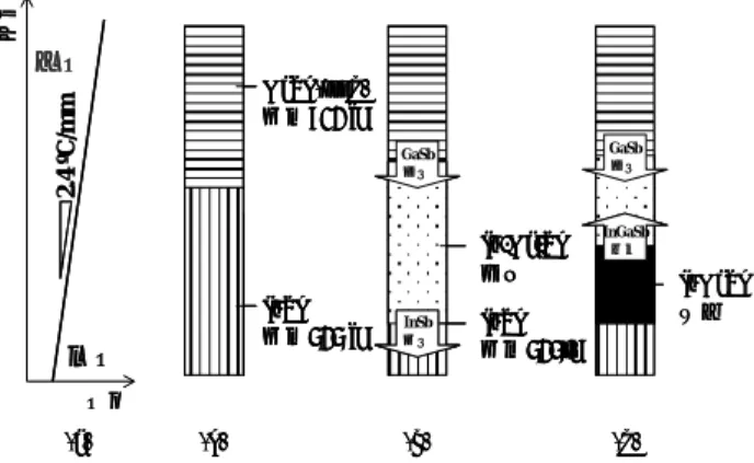 Fig. 2 An ampoule configuration. 