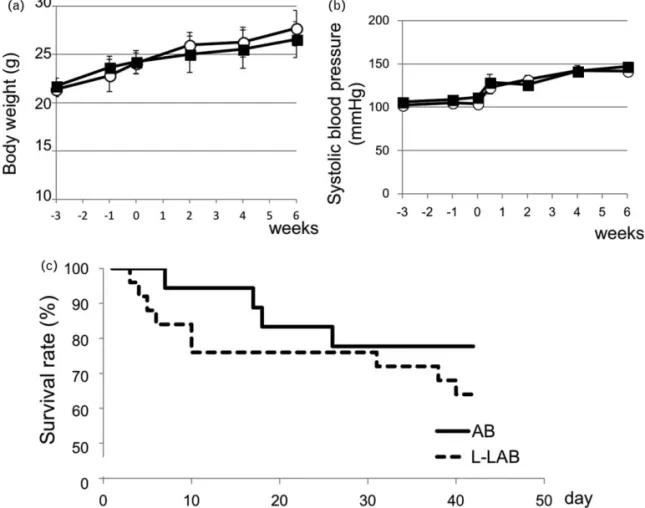 FIGURE 1 Effects of Nv-nitro- L -arginine methyl ester addition to aneurysm model. Week 0 or Day 0 indicates starting time of angiotensin II þb-aminopropionitrile loading.