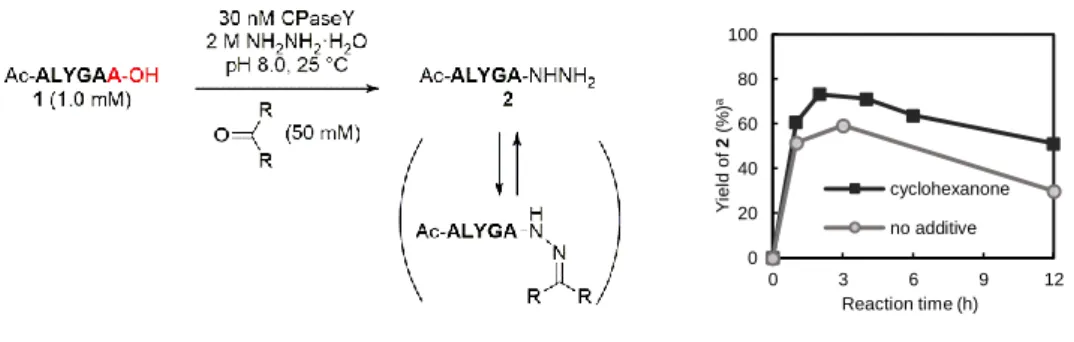 Figure  S1.  Suppression  of  over-reaction  with  cyclohexanone  by  formation  of  hydrazone