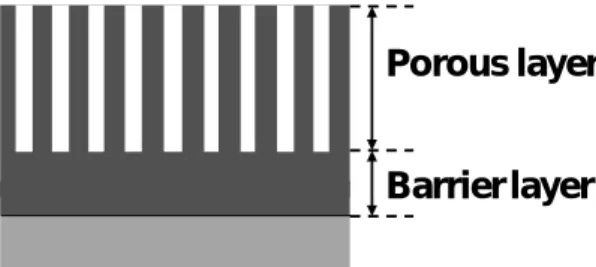 Fig. 2 Structure of anodized film 