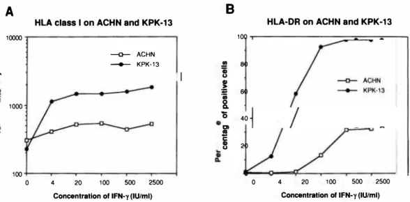 Fig. 4  Dose response curve of the expression of HLA class  I  (Nor  HLA-DR(B) on renal  cell carcinoma  cell  lines
