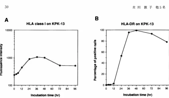 Fig. 5  Kinetics of the incubation with IFN-y on the expression of HLA class  I (A) or  HLA-DR(B) on KPK-13