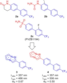 Figure 2. Design of novel KSP probes based on the structures of fluorescent 1,3a,6a-triazapentalene  scaffold and biaryl-type KSP inhibitors
