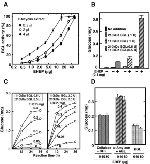 Fig 5. EHEP protects BGL activity from E. bicyclis extract inhibition. (A) The 110 kDa BGL activity was assayed in a reaction mixture containing 1 mM 4MU-β-glucoside, E