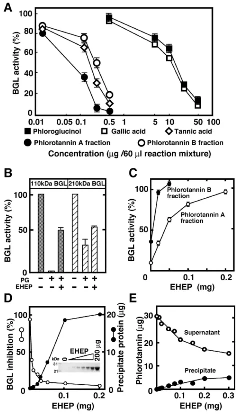 Fig 6. Interaction of EHEP with phlorotannin, tannic acid, phloroglucinol, and gallic acid