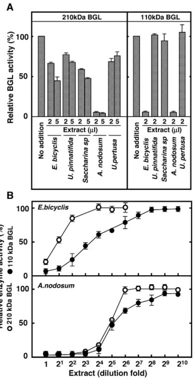 Fig 2. Inhibition of 110 and 210 kDa BGL by extracts of various seaweeds. (A) Ten milligrams of E.
