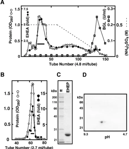 Fig 3. Purification of EHEP from the digestive fluid. The EHEP present in the digestive fluid of the sea hare was purified by ammonium sulfate fractionation (0–30%), phenyl-Sepharose (A), and Sephacryl S-100 gel filtration (B) as described in Materials and