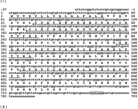 Fig 4. Nucleotide sequence of the EHEP cDNA and the alignment of its deduced amino acid sequence with chondroitin proteoglycan-2-like protein sequences of A