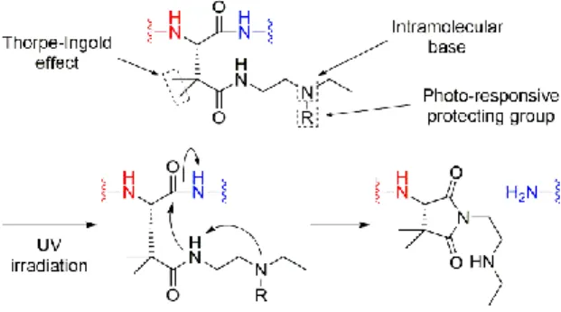 Figure 2. Design of an intein-mediated UV-responsive amide cleavage device.   