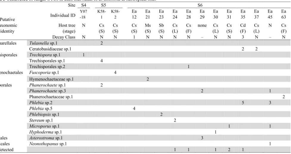 Table 3  Occurrence of fungal OTUs in each individual of E. altissima at subtropical sites 