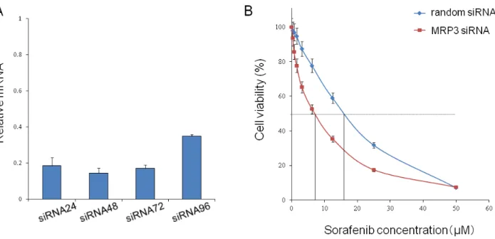 Figure 5: The activation segment sequence of the Raf1 gene in sorafenib-resistant cells