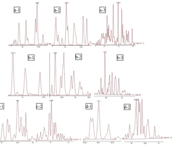図 4b  海底堆積物抽出物の高分子 PAH （五～六環）の GC-MS 分析におけるマスクロマ