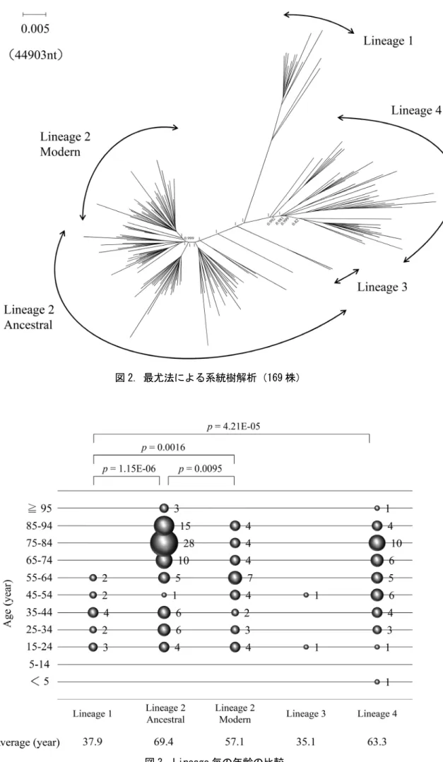 図 2. 最尤法による系統樹解析（169 株） 
