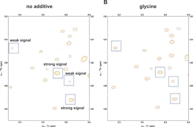 Fig. 3. Comparison of amide peaks, with or without glycine A region in the 2D 1 H– 15 N HSQC spectrum (A) without or (B) with glycine