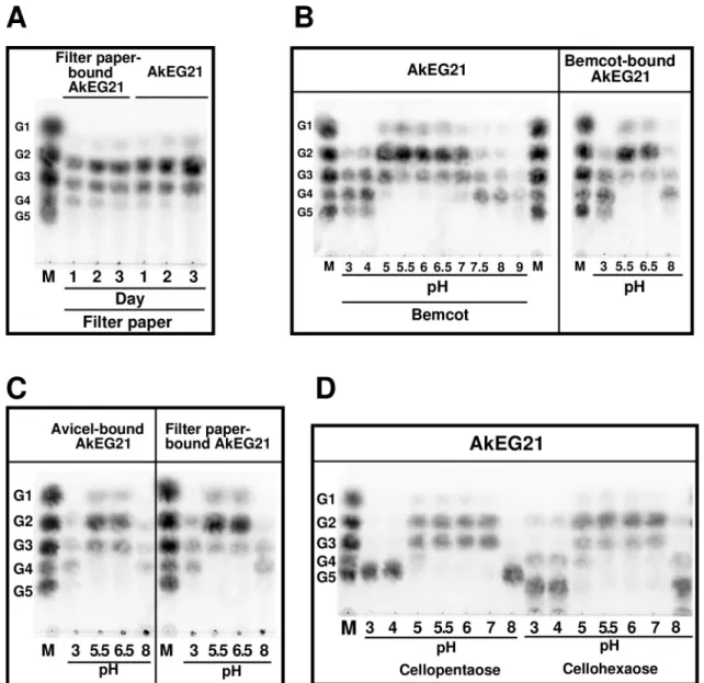 Fig 8. Characterization of cellulase activity of cellulose-bound AkEG21. Filter paper- and Bemcot-bound AkEG21 were prepared as described in Materials and Methods and incubated without addition of AkEG21