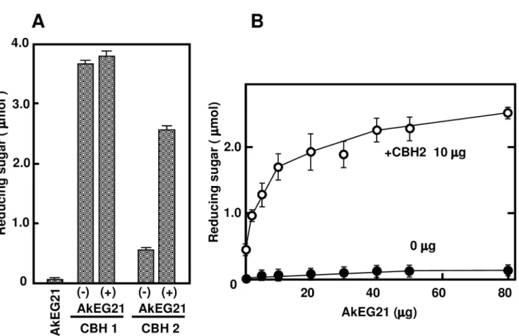 Fig 10. Hydrolysis of filter paper by synergistic activity of AkEG21 and CBH 2. (A) Filter paper was digested with CBH 1 or CBH 2 in the absence or presence of AkEG21 and AkEG21 alone at 37˚C for 24 h