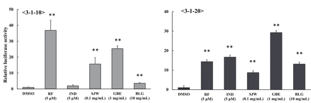 Fig. 2-1. Effects of SJW, GBE, and Ban-Lan-Gen on CYP3A4 gene reporter activity in 3-1-10  and 3-1-20 cells