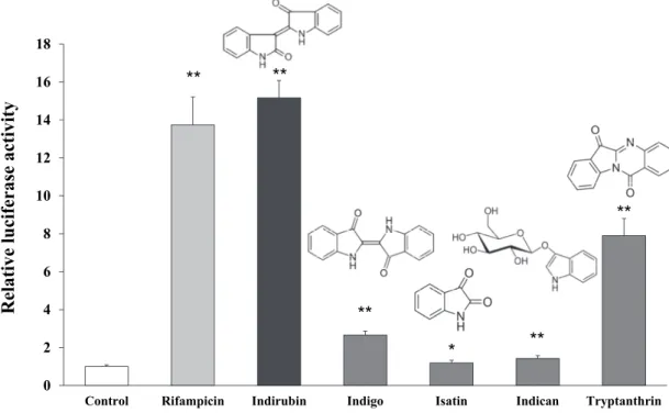 Fig. 2-2. Effect of various components of Ban-Lan-Gen on CYP3A4 gene reporter activity in  3-1-20 cells