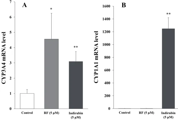 Fig. 2-4. Effect of indirubin on CYP mRNA expression in HepG2 cells. 
