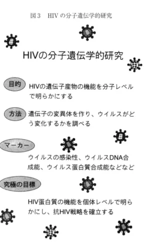 図 3 H I V の分子遺伝学的研究 ’ 事 努 HIV の分子遺伝学的研究務 HIV の遺伝子産物の機能を分子レベル で明らかにする 遺伝子の変異体を作り、ウイルスがど う変化するかを調べる 母 島 長 香 ウイルスの感染性、ウイルス DNA 合 成能、ウイルス蛋白質合成能などなど 省 経 需 毒 HIV 蛋白質の機能を個体レベルで明らかにし、抗VHI戦略を確立する 議 会 者 各 意外なことに，株化細胞を用いると HIV の 0 1 個の遺伝 子のうち，実に 5 個がアクセサリー遺伝子だったのであ る