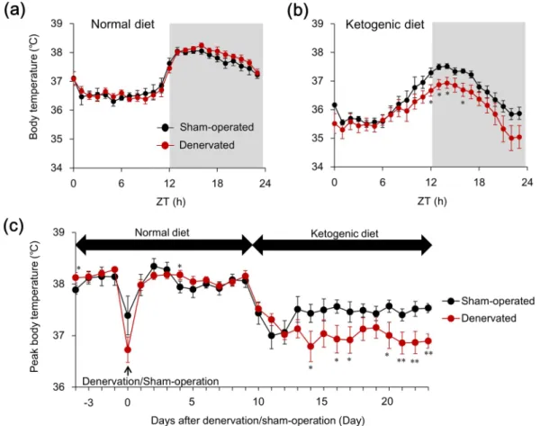 Figure 5.  Bilateral sciatic denervation exacerbates hypothermia during prolonged ketogenic diet feeding