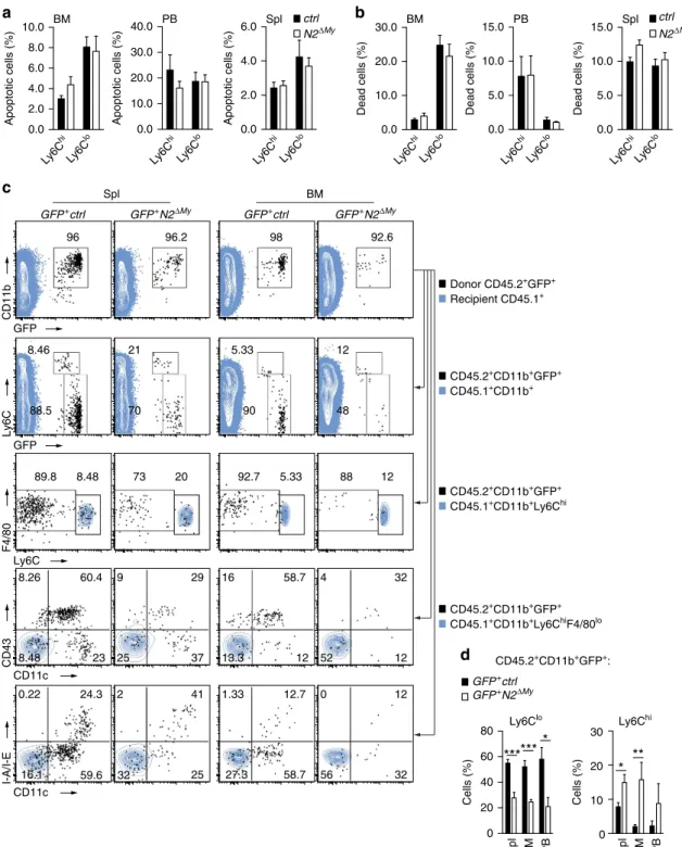 Figure 4 | Notch2-deﬁcient Ly6C hi monocytes show impaired conversion potential in vivo