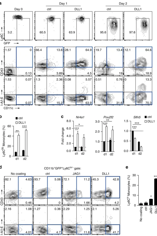 Figure 5 | Notch ligand DLL1 mediates monocyte conversion in vitro. (a,b) Kinetics of monocyte conversion in the presence of Notch ligand DLL1 in vitro.