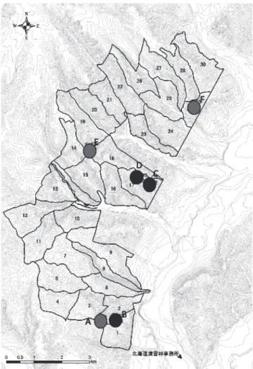 Fig. 2. Experimental slopes in Ashoro Research Forest (ARF). 