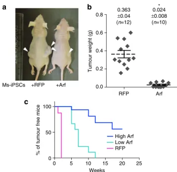 Figure 3 | Ectopic expression of Arf signiﬁcantly attenuates the tumourigenicity of Ms-iPSCs