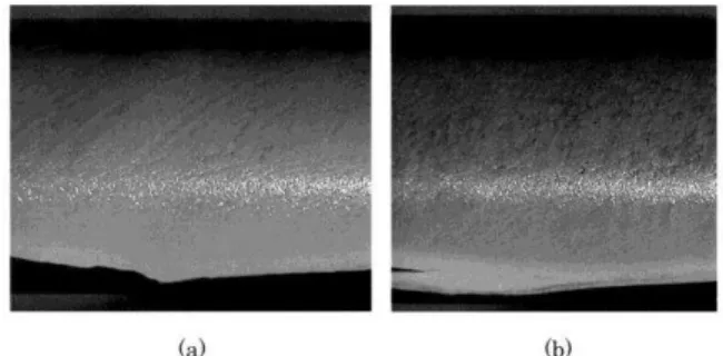 Fig.  8    Three-dimensional  boundary  layer  transition  on  yawed  cylinder  model  under  (AH2.6,  RH52),  (a)  Visualized  pattern by surface-oil flow technique, (b) Spectrum by means  of image analysis along white line at    50  in Fig.8a