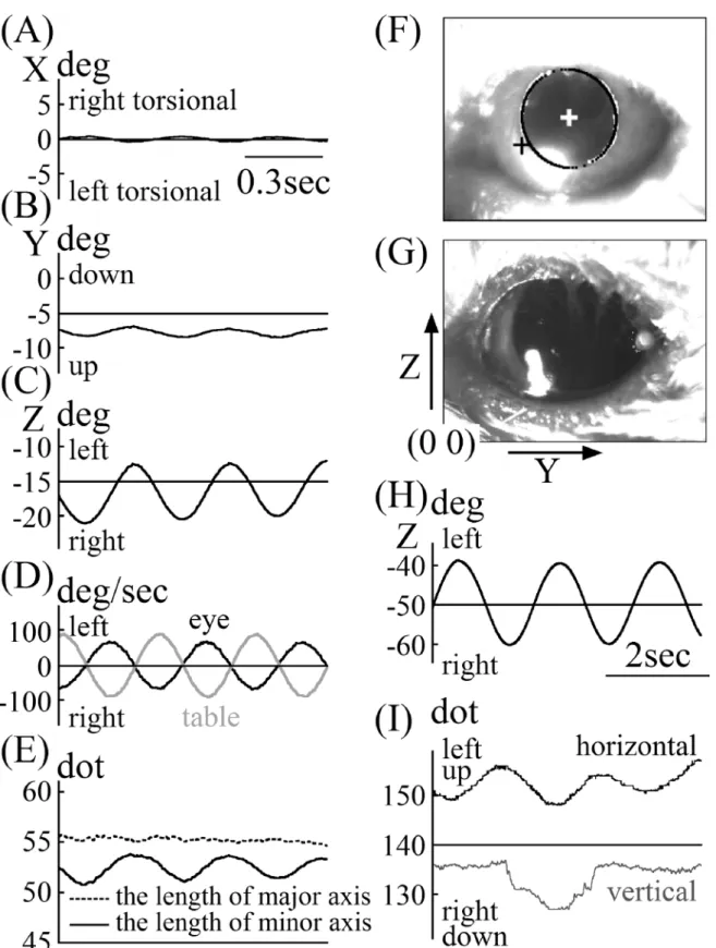Fig 6. VOR data for mice B and C. A, X component of the rotation vector of eye position during rotation in mouse B