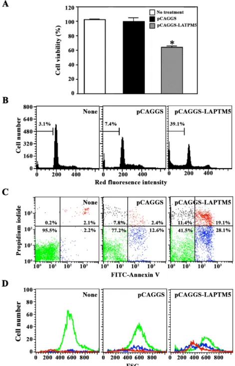 Fig 6. Effect of ectopic LAPTM5 expression on cell viability (A), cell cycle distribution (B), and apoptotic cell death measured by FITC-Annexin V and PI staining (C) and forward scatter dot plot (D) in HeLa cells.