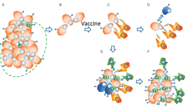 Fig. 4  Up-regulation of immune checkpoint molecules in tumor tissues after immunotherapy in vaccine failure