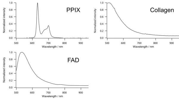 Figure 1.  Representative fluorescence spectra of PPIX, FAD, and collagen. 