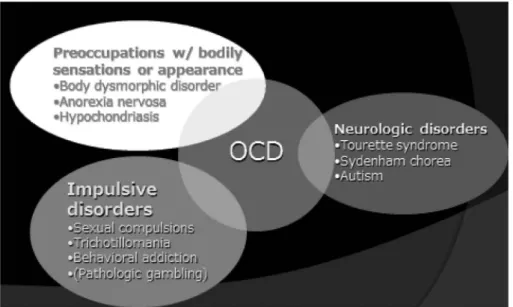 Figure 1.   Obsessive-Compulsive Spectrum Disorders （ Stein &amp; Hollander, 1993 ）
