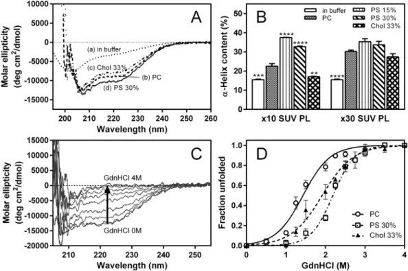 Table 1.  Parameters of GdnHCl-induced denaturation of apoA-I 1‒83/G26R bound to SUVs a 