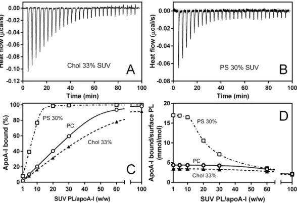 Table 2.  Thermodynamic parameters of binding of apoA-I 1‒83/G26R to SUVs at 25 °C a 