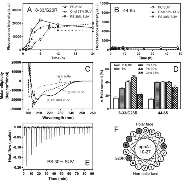 Table 3.  Thermodynamic parameters of binding of apoA-I 8‒33/G26R peptide to SUVs at 25 °C a 