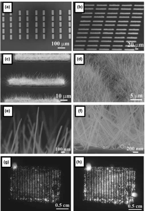 Figure 7.  (a) SeM image of crystalline boron nanowire patterns. (b) Side view SeM image of uniform boron nanowire patterns