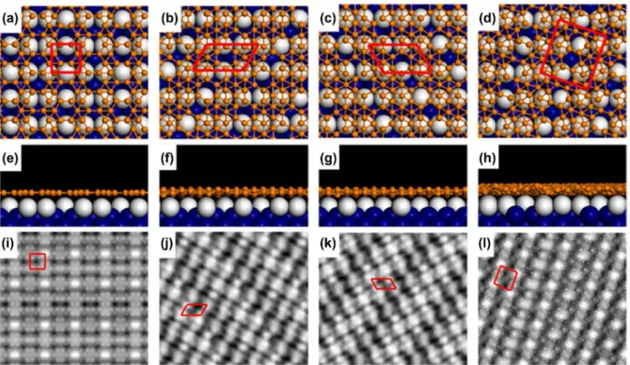 Figure 11.  atomic structures of borophene nanoribbons on ag(110) optimized by dfT. (a)–(d) Top and (e)–(h) side views of optimized  P1–P4 borophene nanoribbons on ag(110) surface, respectively